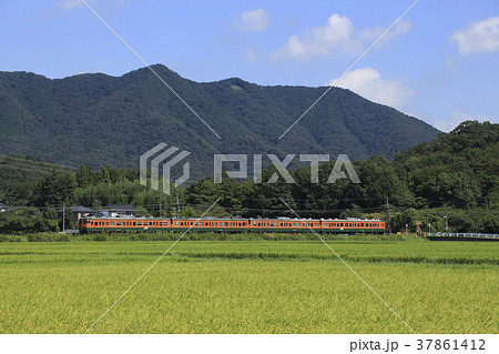 岩舟付近を行く両毛線115系 37861412