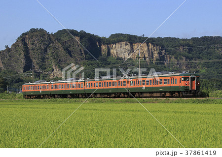 岩舟付近を行く両毛線115系 37861419