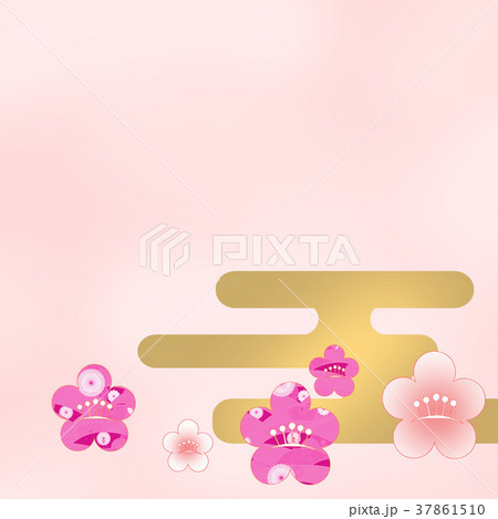 梅 和柄 和風 初春 正月 初春 花 春のイラスト素材