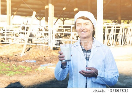 adult woman is standing at the cow farm adult woman is standing at the cow farm 37867355