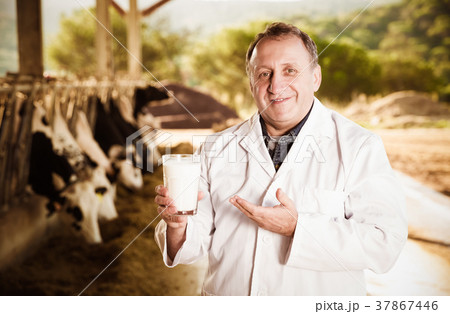 veterinarian approvingly demonstrating milk on dairy farm 37867446
