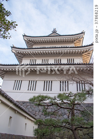 忍城　埼玉県行田市 37868219