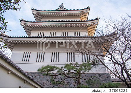 忍城　埼玉県行田市 37868221