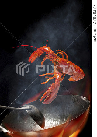 オマール海老 37868377