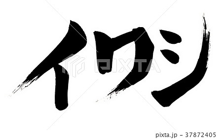 筆文字　イワシ（鰯） 37872405
