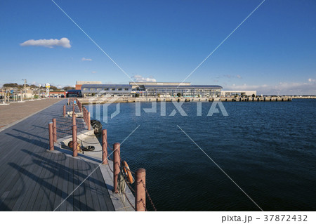 いわき・ら・ら・ミュウ011 37872432