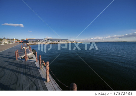 いわき・ら・ら・ミュウ012 いわき・ら・ら・ミュウ012 37872433