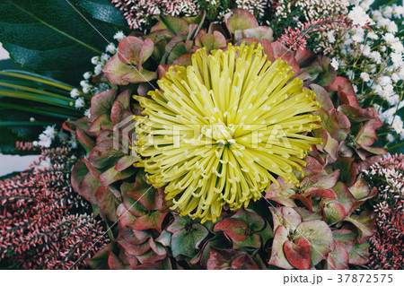 Bouquet of fresh heather bouquet Bouquet of fresh heather bouquet 37872575