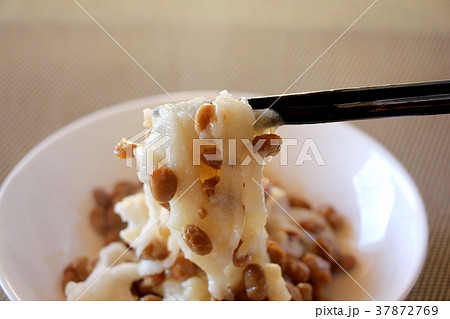 納豆餅 納豆餅 37872769