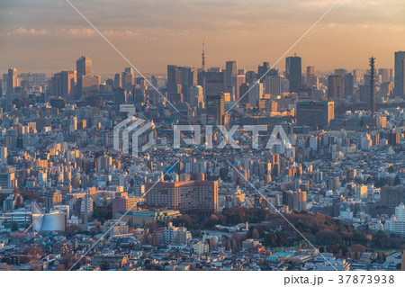 《東京都》都会の夕暮れ 《東京都》都会の夕暮れ 37873938