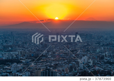 《東京都》都会の夕暮れ 《東京都》都会の夕暮れ 37873960