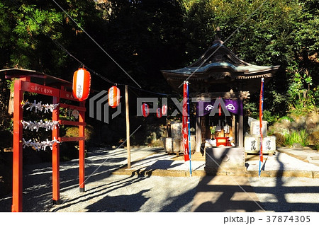 遊行寺境内の宇賀神社社殿とおみくじ結び所 37874305