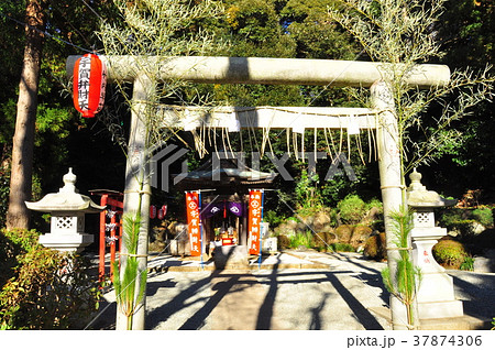 遊行寺境内の宇賀神社鳥居と社殿 遊行寺境内の宇賀神社鳥居と社殿 37874306