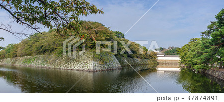 彦根城の風景 37874891