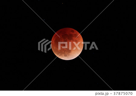 皆既月食-ブラッドムーン- 37875070
