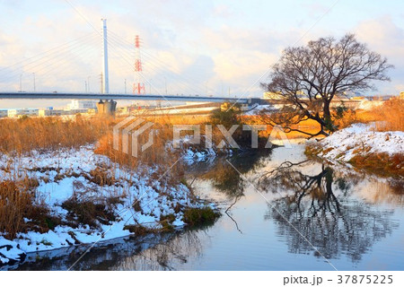 雪が残る相模川と銀河大橋の景色 37875225