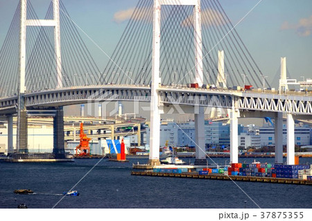 横浜ベイブリッジの景色 横浜ベイブリッジの景色 37875355
