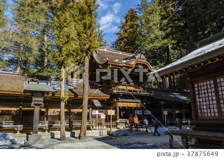 信州の神社仏閣 諏訪大社下社春宮 長野県諏訪郡下諏訪町 信州の神社仏閣 諏訪大社下社春宮 長野県諏訪郡下諏訪町 37875649