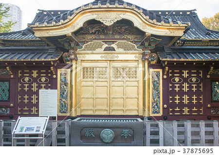 上野公園 上野東照宮 金色殿 唐門 国指定重要文化財 上野公園 上野東照宮 金色殿 唐門 国指定重要文化財 37875695