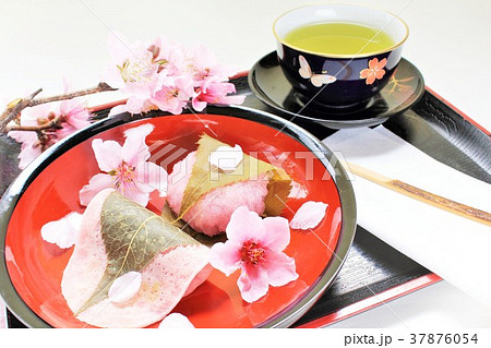 春のさくらもち 37876054