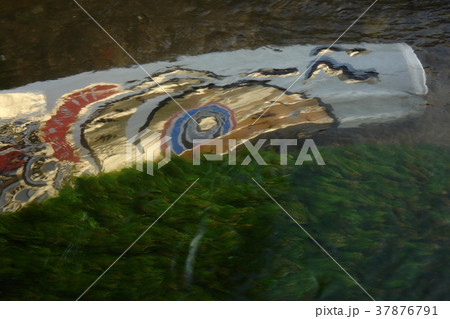 鯉幟が泳ぐ川 瀬戸川 鯉幟が泳ぐ川 瀬戸川 37876791