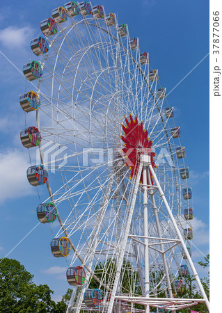 Ferris wheel. Ferris wheel. 37877066