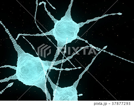 Abstract Illustration of Neurons In The Head Brain Abstract Illustration of Neurons In The Head Brain 37877293