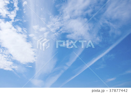 青空と雲 青空と雲 37877442