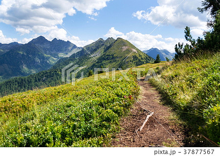 Hiking trail in Alps, life way change happiness Hiking trail in Alps, life way change happiness 37877567