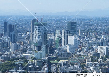 東京風景 渋谷の写真素材