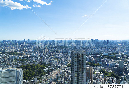 東京風景 池袋から望む大都会の街並み　東京全景 37877714