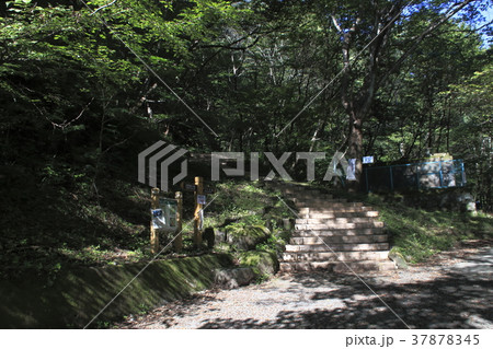 夏の碓氷峠めがね橋にて 37878345