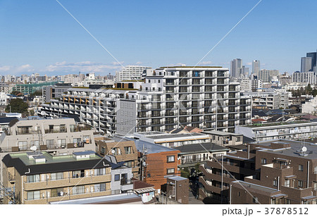 東京の住宅街　杉並区 37878512