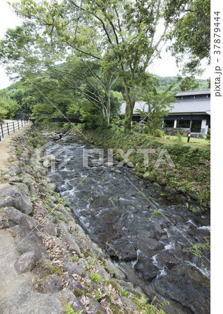 韮山反射炉に隣接する河川 37879444