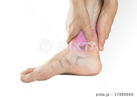 foot bones pain 37880666