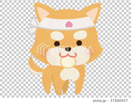 日本排名第一的桃太郎伴侶犬 日本排名第一的桃太郎伴侶犬 37880937