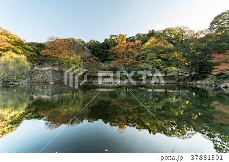 和歌山城の紅葉 和歌山城の紅葉 37881301