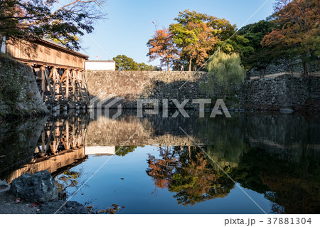和歌山城の紅葉 和歌山城の紅葉 37881304