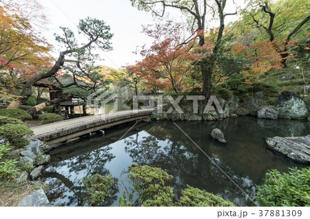和歌山城の紅葉 37881309