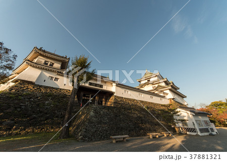 和歌山城天守閣 和歌山城天守閣 37881321