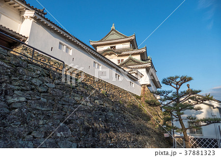 和歌山城天守閣 和歌山城天守閣 37881323