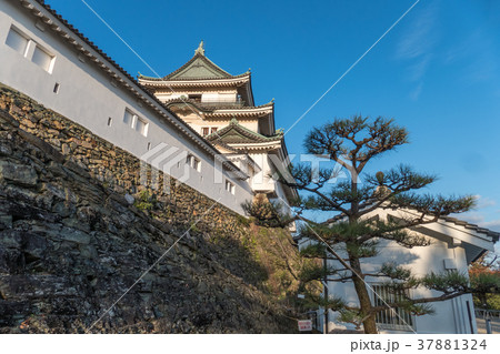 和歌山城天守閣 37881324