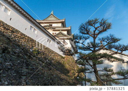 和歌山城天守閣 和歌山城天守閣 37881325