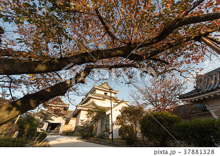 和歌山城天守閣 37881328