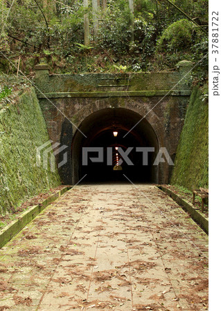 明治トンネル（静岡県） 37881722