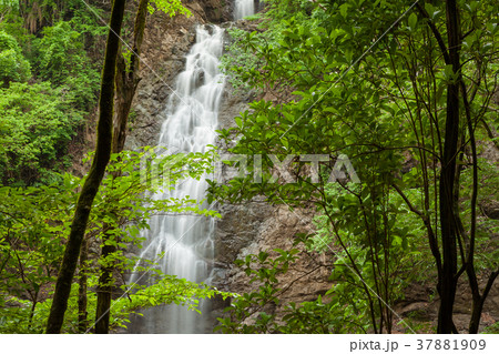 Montezuma waterfall in Costa Rica 37881909