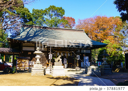 登戸神社 本殿 登戸神社 本殿 37881977