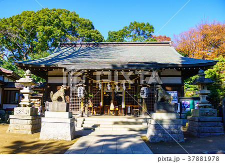 登戸神社 本殿その2 登戸神社 本殿その2 37881978