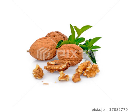 Walnuts kernel isolated on white background Walnuts kernel isolated on white background 37882779