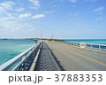 宮古島 37883353